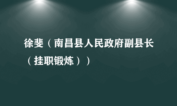 徐斐（南昌县人民政府副县长（挂职锻炼））