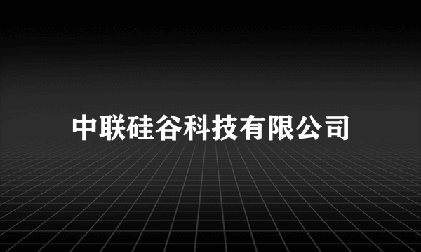 中联硅谷科技有限公司