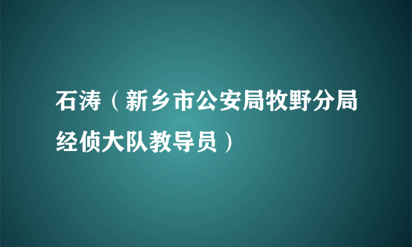 石涛（新乡市公安局牧野分局经侦大队教导员）