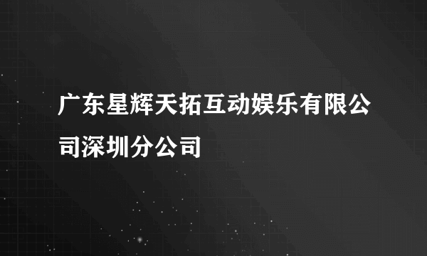 广东星辉天拓互动娱乐有限公司深圳分公司