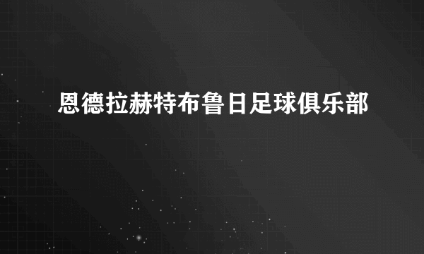 恩德拉赫特布鲁日足球俱乐部