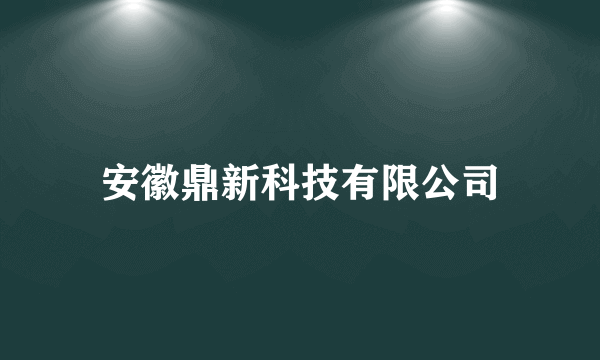 安徽鼎新科技有限公司