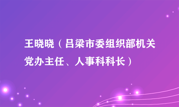 王晓晓（吕梁市委组织部机关党办主任、人事科科长）