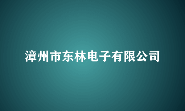 漳州市东林电子有限公司