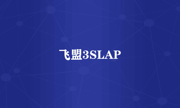 飞盟3SLAP