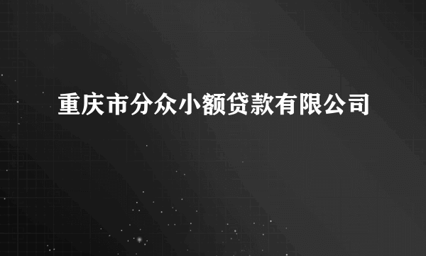 重庆市分众小额贷款有限公司