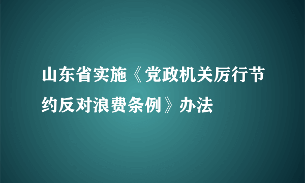 山东省实施《党政机关厉行节约反对浪费条例》办法