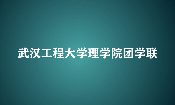 武汉工程大学理学院团学联