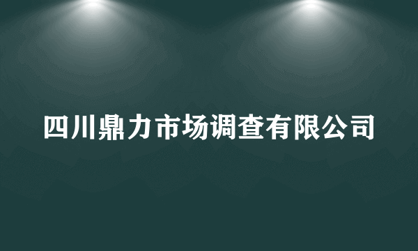 四川鼎力市场调查有限公司