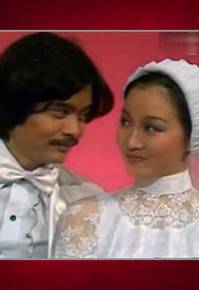 小夫妻（1979年黄杏秀主演TVB电视剧）