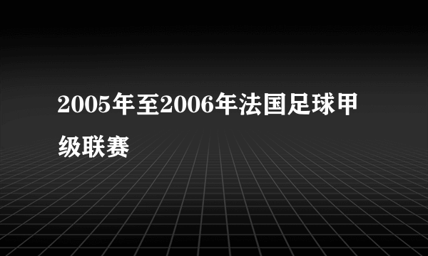 2005年至2006年法国足球甲级联赛