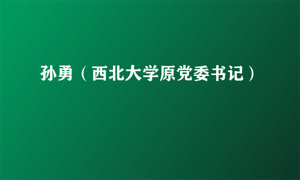 孙勇（西北大学原党委书记）