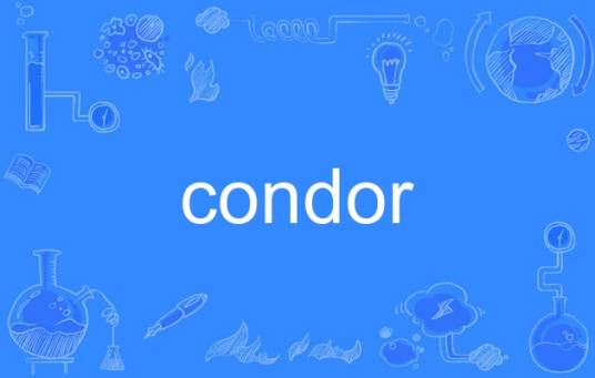 condor（英语单词）