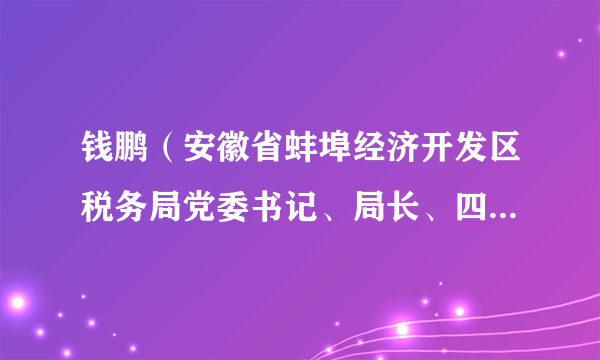 钱鹏（安徽省蚌埠经济开发区税务局党委书记、局长、四级高级主办）