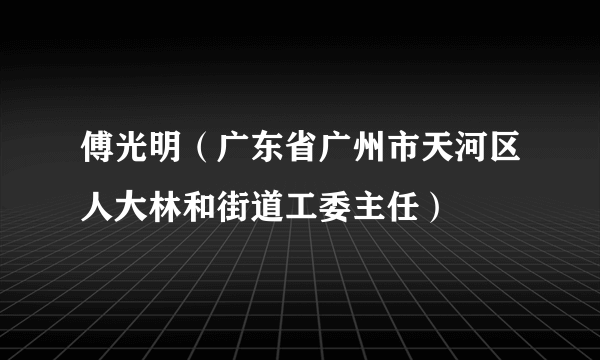 傅光明（广东省广州市天河区人大林和街道工委主任）