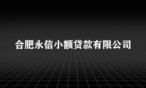 合肥永信小额贷款有限公司