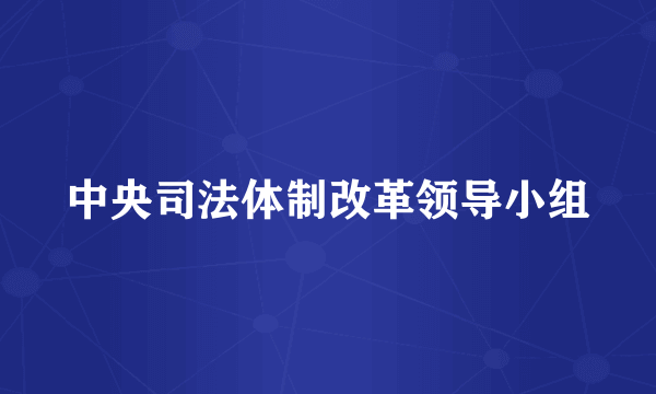 中央司法体制改革领导小组