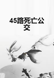 45路死亡公交