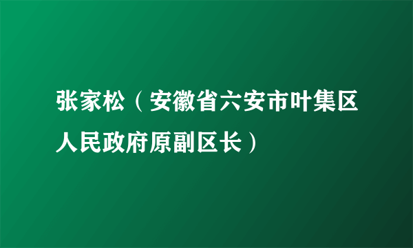 张家松（安徽省六安市叶集区人民政府原副区长）