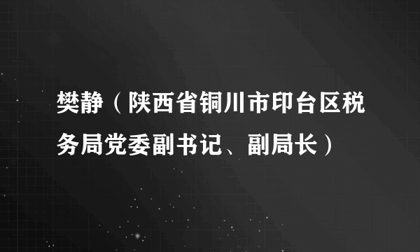 樊静（陕西省铜川市印台区税务局党委副书记、副局长）