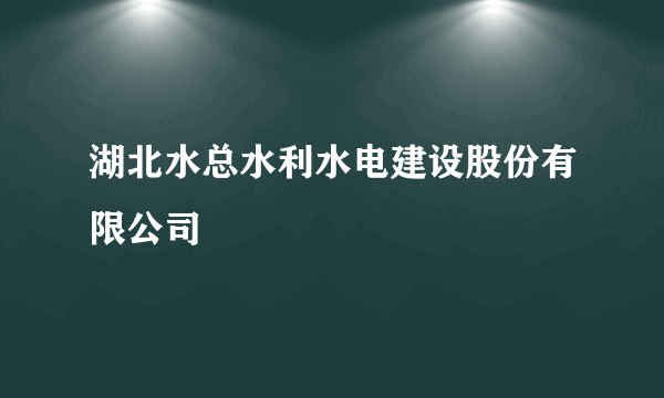 湖北水总水利水电建设股份有限公司