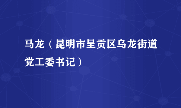 马龙（昆明市呈贡区乌龙街道党工委书记）