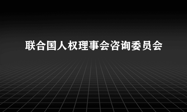 联合国人权理事会咨询委员会