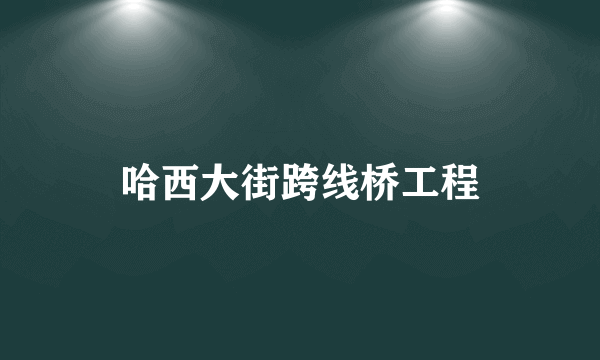 哈西大街跨线桥工程