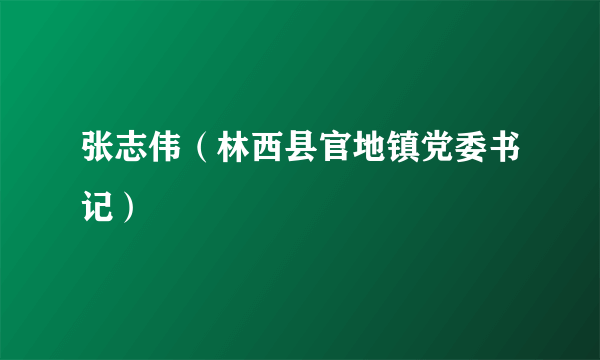 张志伟（林西县官地镇党委书记）