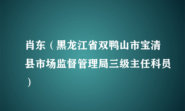 肖东（黑龙江省双鸭山市宝清县市场监督管理局三级主任科员）