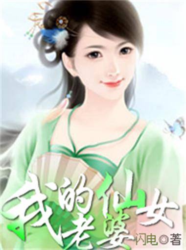 我的仙女老婆（闪电创作网络小说）