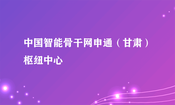 中国智能骨干网申通（甘肃）枢纽中心