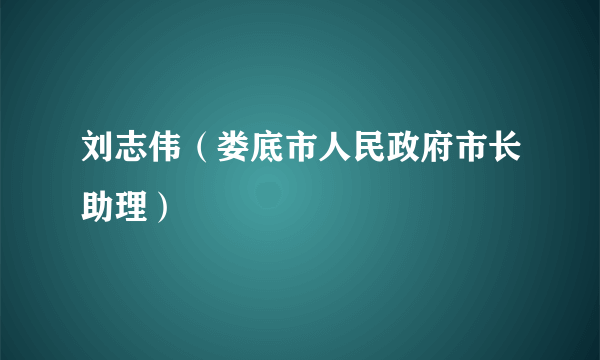 刘志伟（娄底市人民政府市长助理）