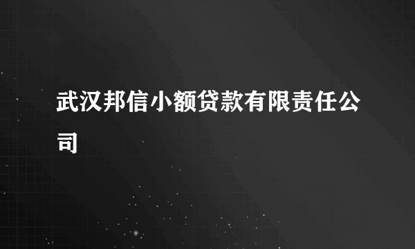 武汉邦信小额贷款有限责任公司