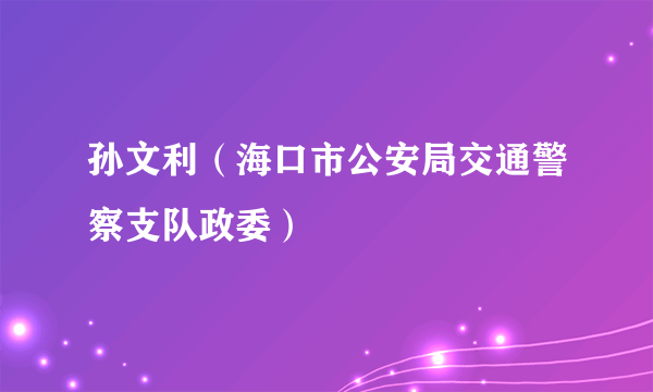 孙文利（海口市公安局交通警察支队政委）