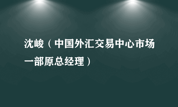 沈峻（中国外汇交易中心市场一部原总经理）