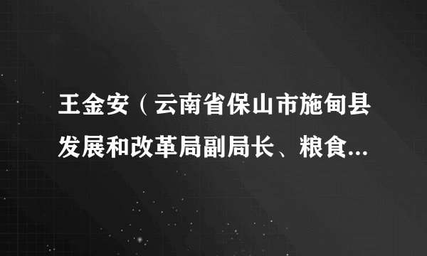 王金安（云南省保山市施甸县发展和改革局副局长、粮食和物质储备局局长）