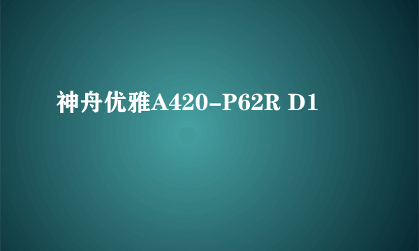 神舟优雅A420-P62R D1