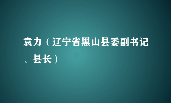 袁力（辽宁省黑山县委副书记、县长）