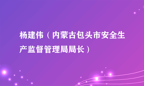 杨建伟（内蒙古包头市安全生产监督管理局局长）