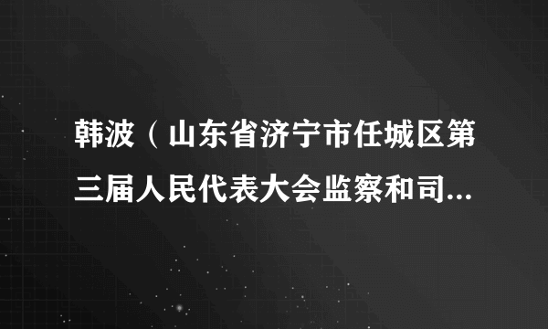 韩波（山东省济宁市任城区第三届人民代表大会监察和司法委员会主任委员）