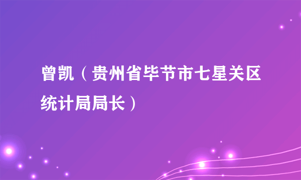 曾凯（贵州省毕节市七星关区统计局局长）