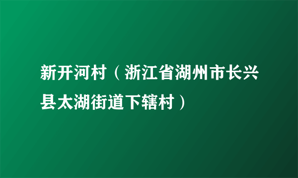 新开河村（浙江省湖州市长兴县太湖街道下辖村）