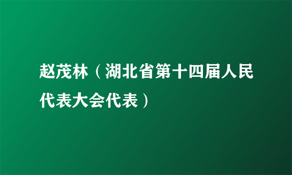 赵茂林（湖北省第十四届人民代表大会代表）