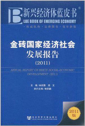 金砖国家经济社会发展报告