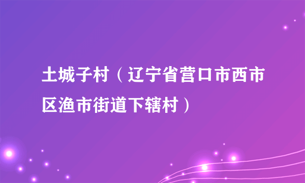 土城子村（辽宁省营口市西市区渔市街道下辖村）