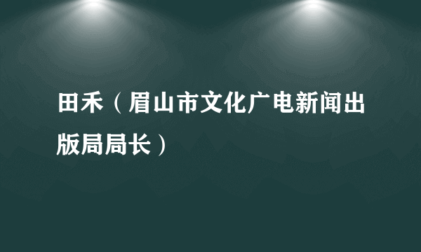 田禾（眉山市文化广电新闻出版局局长）