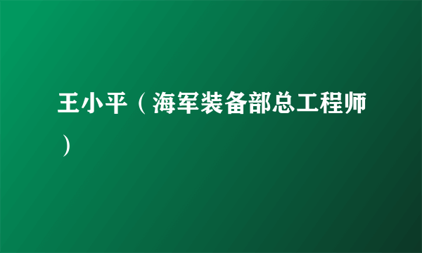 王小平（海军装备部总工程师）