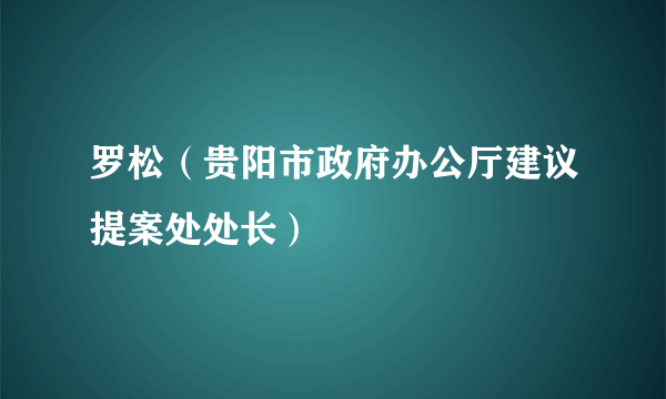 罗松（贵阳市政府办公厅建议提案处处长）