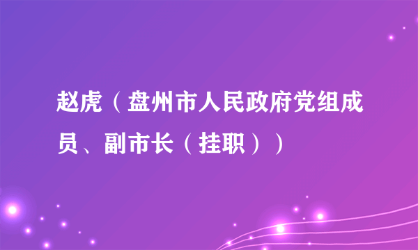 赵虎（盘州市人民政府党组成员、副市长（挂职））